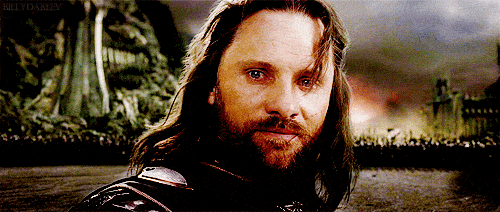 aragorn yolo