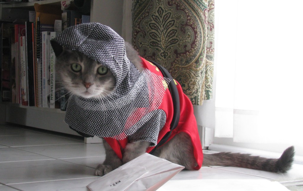 Have you been... have you been looking at OTHER CATS? Oh, vile witch! Wretched hag! To the lists, harpy, for I demand a tourney. I shall reclaim my place in your infernal affections with a Coup de Grace, thou Duchess of Hades!