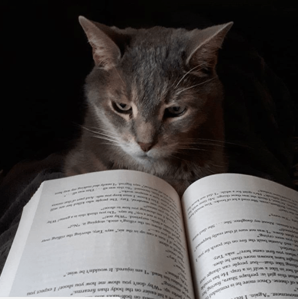 titus reading